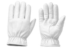 ถุงมือหนังสำหรับพิธีการของผู้ชาย QUICK WAY INDUSTRIES รุ่น Honor Guard ป้องกันการกระแทก ปลายตรง ผิวสัมผัสแบบมีเท็กซ์เจอร์ ยืดหยุ่น เหมาะสำหรับงานพิธีการ - Product Image 4