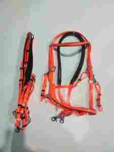 Brida de Cuero Artesanal de Resistencia Diseñada para Comodidad, Ideal para Entrenamiento de Caballos, Carreras y Equitación Profesional - Product Image 6