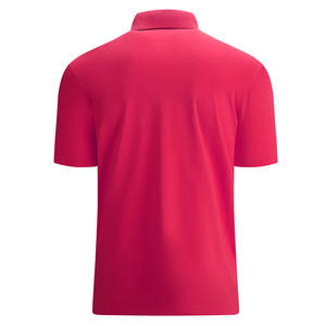 Polo populaire pour homme Respirant Séchage rapide Anti-froissement Anti-boulochage Anti-rétrécissement Polo écologique pour homme - Product Image 2