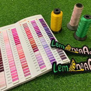 Parche de ropa bordado 3D caliente personalizado Parches de hierro bordados Nuevo diseño 2024 - Product Image 3