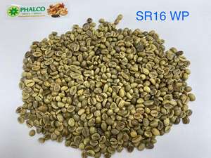 Granos de café Robusta, Vietnam, calidad premium, nueva cosecha - Product Image 4