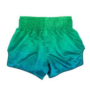 กางเกงมวยไทยผ้าไหมพิมพ์ลายเต็มตัว Fairtex ออกแบบส่วนตัว ผลิตตามสั่ง สำหรับมืออาชีพ Twins MMA ชุดกีฬาต่อสู้ ผลิตแบบ OEM - Product Image 5