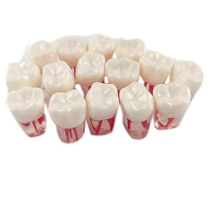 LK-OS2103 para la lluvia, tratamiento anal para olores - Product Image 4