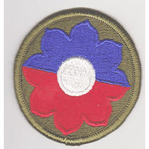 Parches de tela bordados con cuentas del Regimiento de Pilotos de Aviones de Seguridad Británicos - Product Image 1