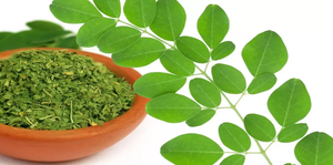 Feuilles de Moringa entières séchées sauvages Ayana Harvest, qualité alimentaire, naturelles, biologiques et 100% pures EG - Product Image 4
