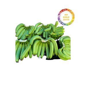 Vente en gros de bananes vertes longues Cavendish du Vietnam Fournisseur de confiance offrant le meilleur prix et une grande quantité pour l'exportation - Product Image 3