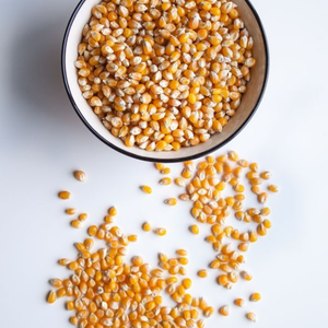 GRAINS DE MAÏS JAUNE SÉCHÉS PURS APPROVISIONNEMENT EN VRAC DE HAUTE QUALITÉ DU VIETNAM - Product Image 1