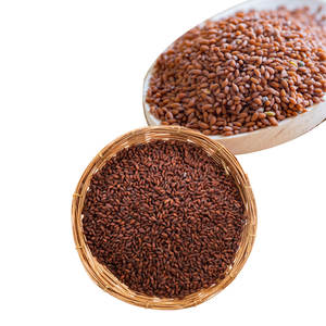 Cress | สมุนไพรทำฟาร์มจากธรรมชาติ | ผลิตภัณฑ์ทางการเกษตรเพื่อสุขภาพ - Product Image 5