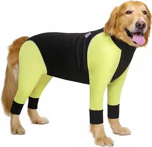 कस्टम बड़े कुत्ते सर्दियों के कपड़े लक्जरी ब्रांड फैशन आउटडोर डिजाइनर पालतू सर्दियों कोट