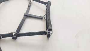 Halter intelligent en cuir d'approvisionnement d'usine avec 9 produits de cheval rentables de montage en laiton de pierre meilleur prix - Product Image 3