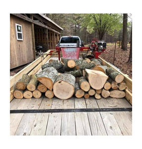 Troncos de abedul ideales para la producción de madera contrachapada con veta uniforme y color claro para láminas de chapa de alta calidad. Pedido al por mayor. - Product Image 1