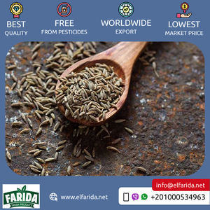 2024 Top vente excellente qualité 100% pur séché cru épices simples produit égyptien graines de cumin pour l'achat en gros - Product Image 2