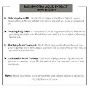 Nagarmotha Liquid Extract Premium Hair <b>Essential</b> <b>Oil</b> - Product Image 4