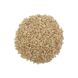 Riz blanc rond de qualité supérieure, céréales fraîches et nutritives, meilleur choix pour l'exportation et la distribution en gros - Product Image 5