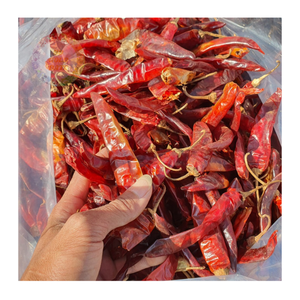 Pimientos de Chile secos recién empaquetados: lo mejor para recetas calientes y picantes, mercados minoristas y mayoristas - Product Image 3