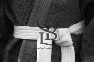 Uniforme de Taekwondo novedad uniforme de Taekwondo servicio OEM peso ligero cómodo Jiu Jitsu Kimono uniforme de Taekwondo - Product Image 5