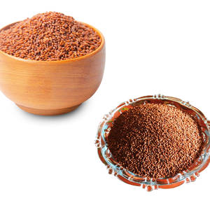 Cress | Goût poivré doux | Aimé dans les salades et les sandwichs - Product Image 2