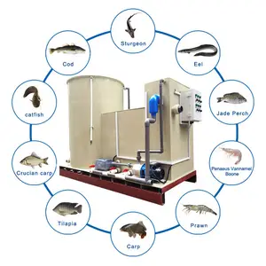 Mini RAS kapalı Aquaponics sistemi balık ve sebze için