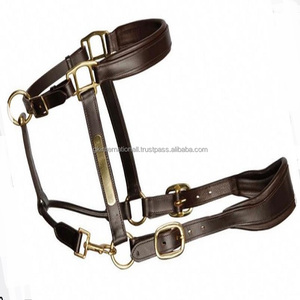 Conception personnalisée de licou de cheval en cuir indien de haute qualité avec boucle en laiton, rembourrage souple de vache de toutes tailles - Product Image 5