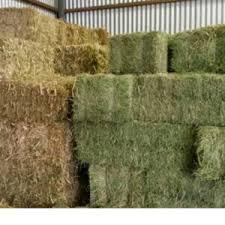 High Quality Alfalfa Hay <strong>Bales</strong> (<strong>Lucerne</strong> <strong>Bales</strong>) for Animal Feeding (Camel, Horse, Cow, Goat, Pig etc)