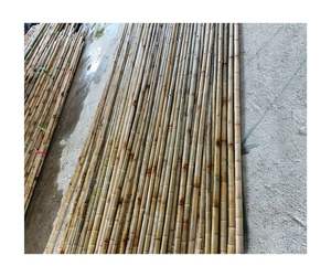 Poteau de canne en bambou écologique en gros matériau naturel de haute qualité Vietnam usine fournisseur direct prêt pour l'exportation - Product Image 2
