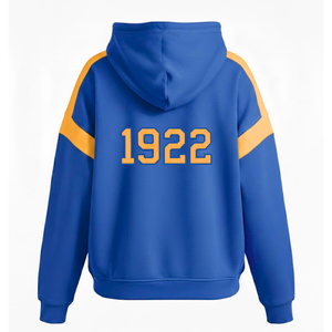 Sigma Gamma Rho Sweat à capuche oversize avec logo grec personnalisé sur le devant en coton imprimé de qualité supérieure en polyester, capuche respirante élégante de style universitaire - Product Image 2