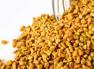 Graines de fenugrec naturelles de qualité supérieure, pureté à 99 %, en sac PP de 25 kg, pour la cuisine, à prix compétitif - Product Image 4