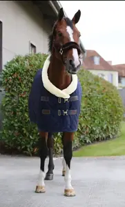 <b>Waterproof</b> Latest Price Horse Rugs & <b>Blankets</b> Eco Friendly Lightweight Horse Rugs & <b>Blankets</b> - Product Image 5