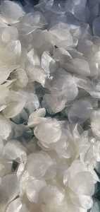 เครื่องชั่งน้ำหนักปลาแห้ง/ปลากะพงบารามันดี/ปลาช่อน/หัวงู/ทาลาเปีย (ปลานิล) กล่องขนาดใหญ่/แอนนาโด - Product Image 6