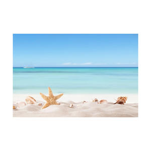 Bûches de hêtre massif pour l'amélioration de l'habitat Prix compétitifs pour votre prochain projet - Product Image 1