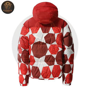 Venta al por mayor cálido duradero personalizable marca a prueba de viento transpirable y cómodo acolchado cálido chaquetas al aire libre para Otoño e Invierno - Product Image 2