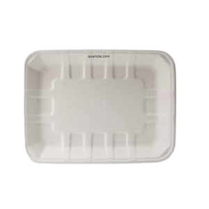 Premium 10oz canne à sucre bagasse plateau jetable en vrac acheter pas cher prix populaire polyvalent service pour les fêtes derniers Kits - Product Image 1