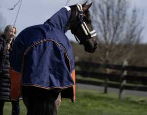 Alfombra de caballo de invierno ajustable con tiras reflectantes, impermeable, transpirable, refuerzos de hombro, accesorios reforzados OEM/ODM - Product Image 3