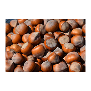 เคอร์เนลเฮเซลนัทลวก/ออร์แกนิกเฮเซลนัทรสชาติธรรมชาติ - Product Image 4