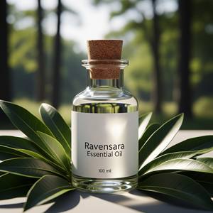 Venta al por mayor de aceite esencial de Ravensara 100% ACEITE DE Ravensara de grado terapéutico orgánico puro para difusor cuidado de la piel - Product Image 4