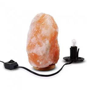 Lámpara de sal del Himalaya Rosa Natural pura de alto grado 100%, lámparas de mesa de lujo, decoración de estilo Animal, buen diseño de Material, Pakistán - Product Image 6