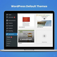 为业务增长提供定制的 WordPress 网站解决方案 响应式数字平台服务 定制网站布局