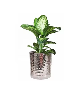 Pot de fleur de luxe de haute qualité et jardinière jardinières décoratives pour décor de jardin à la maison attrayant fini - Product Image 3