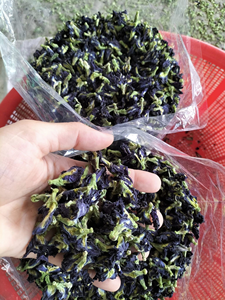 Thé aux fleurs au prix d'usine, thé de pois papillon bleu en vrac, thé aromatisé Akina - Product Image 4