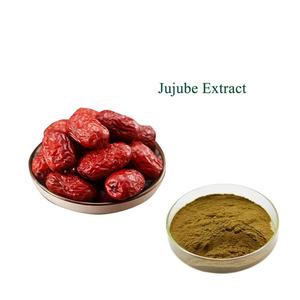 Bubuk ekstrak buah Jujube Cina ekstrak tanggal merah zizifhus Jujube merah - Product Image 3