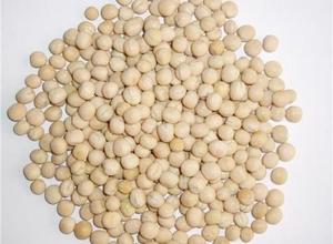 Pois ronds crème ou blancs séchés, herbes et épices naturelles de qualité supérieure, 25 kg, Égypte, mélange pour la vente - Product Image 2