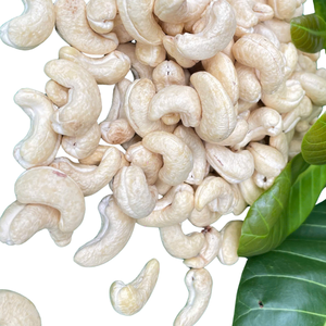 Bon marché en vrac prêt à expédier Noix de cajou brutes Noix de cajou Vietnam Noix de cajou cassées BASSE quantité minimale de commande - Product Image 1