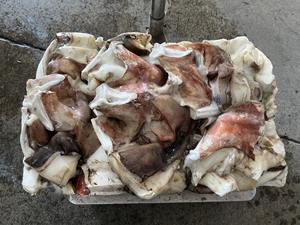 Paquets de calmar surgelé IQF Haizhu - Marque E$T Durée de conservation de 12 mois Comestible - Product Image 5