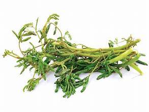 AGUA CONGELADA MIMOSA CLEAN ETIQUETA VEGETAL A BASE DE PLANTAS PARA LA DETOX NATURAL Y APOYO A LA SALUD - Product Image 5