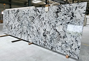 Losas translúcido de mármol blanco ártico moderno pulido granja cocina escalera baño sala de estar Villa Hotel Hall - Product Image 5