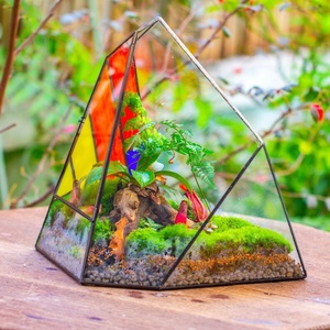 Terrarium artisanal en verre teinté arc-en-ciel, forme gé<span class=keywords><strong>om</strong></span>étrique irrégulière en forme de crête de glace, expédié dans le monde entier - Product Image 1