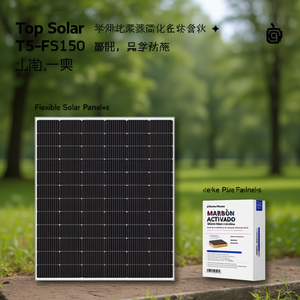 Panneau solaire monocristallin Top Solar TS-FS150 - Product Image 3