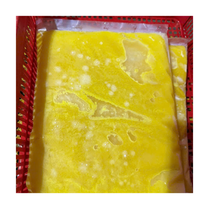 Jus de Kumquat congelé Purée de jus d'agrumes du Vietnam pour les smoothies Boissons glacées et boissons naturelles Marché d'exportation - Product Image 3