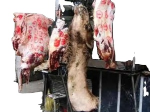 Viande de bœuf congelée sans os, emballage en vrac, partie du corps naturelle - Product Image 4