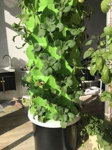 Systèmes hydroponiques haute capacité et tours aéroponiques pour les installations d'agriculture verticale commerciale - Product Image 5